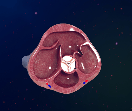 AdobeStock_113586485